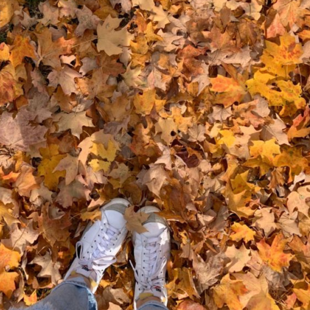 A person in white sneakers stands amidst a colorful field of fallen leaves, enjoying the beauty of autumn.
