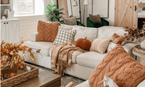 A welcoming living room with a plush couch, a chic coffee table, and a warm rug underfoot.