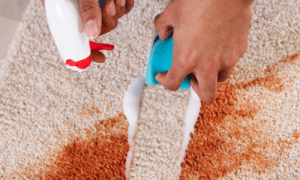 A person using a spray bottle to clean a carpet, focused on removing stains.