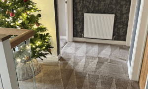 clean carpet with christmas tree