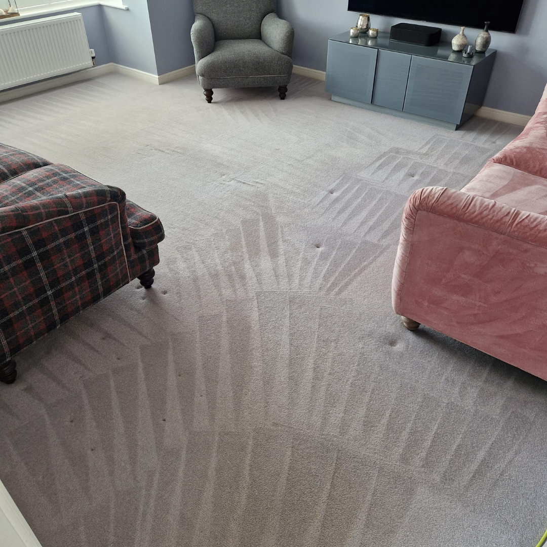 Bright Living Room with Cleaned Carpets 8