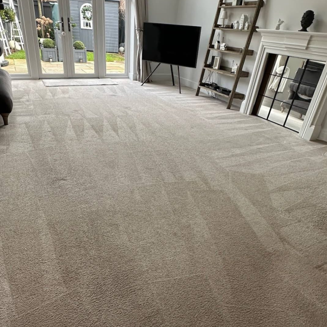 clean carpet by enviro clean 33