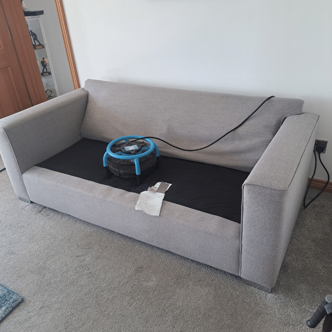 Carpet cleaning Armagh