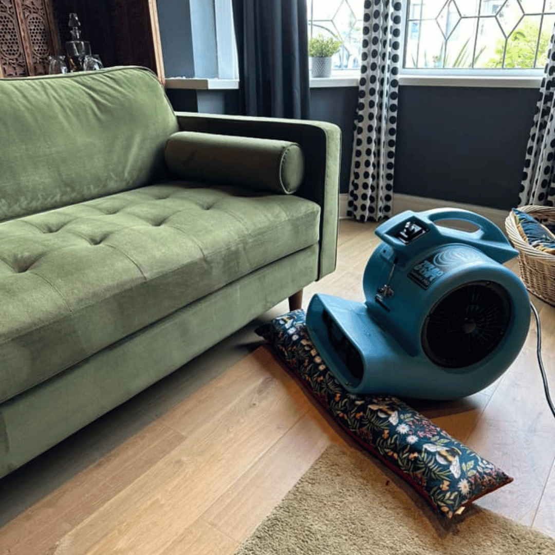 Carpet cleaning Ashford