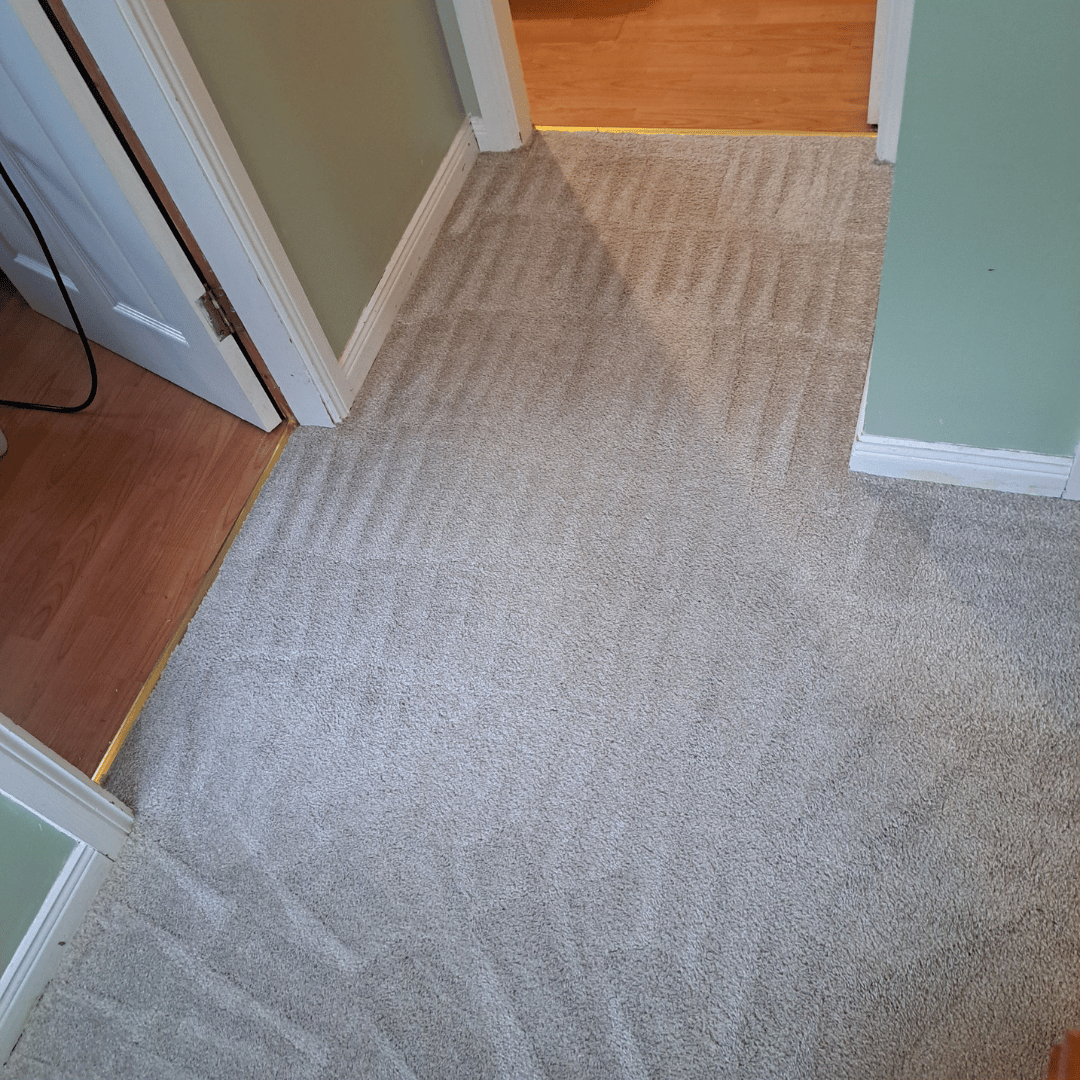 Carpet cleaning Banbridge