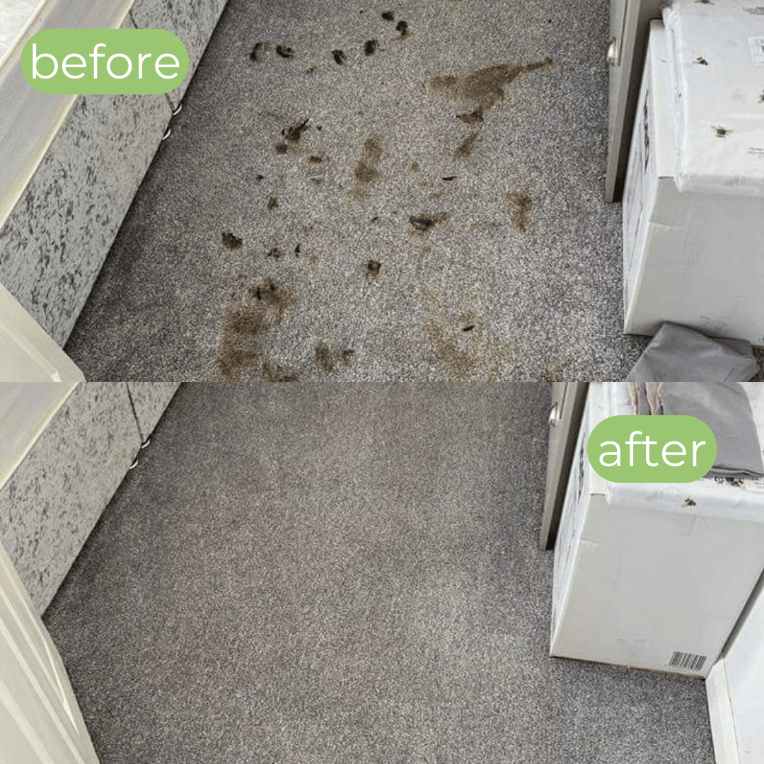 Carpet cleaning Folkestone