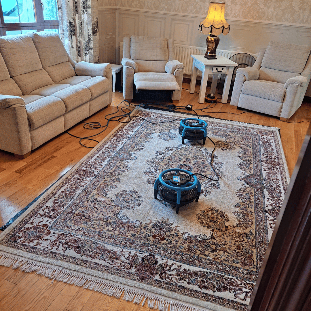 Carpet cleaning Newry