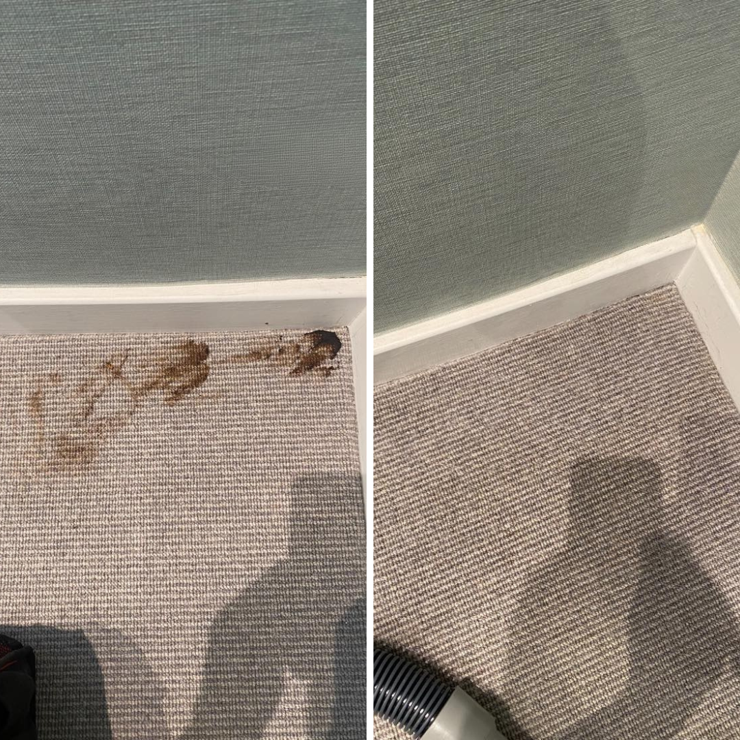 before and after stain removed enviro cleaned 1