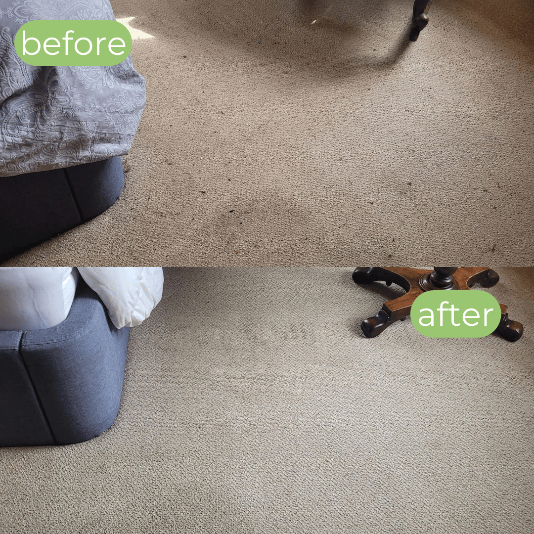 carpet cleaner hire derby