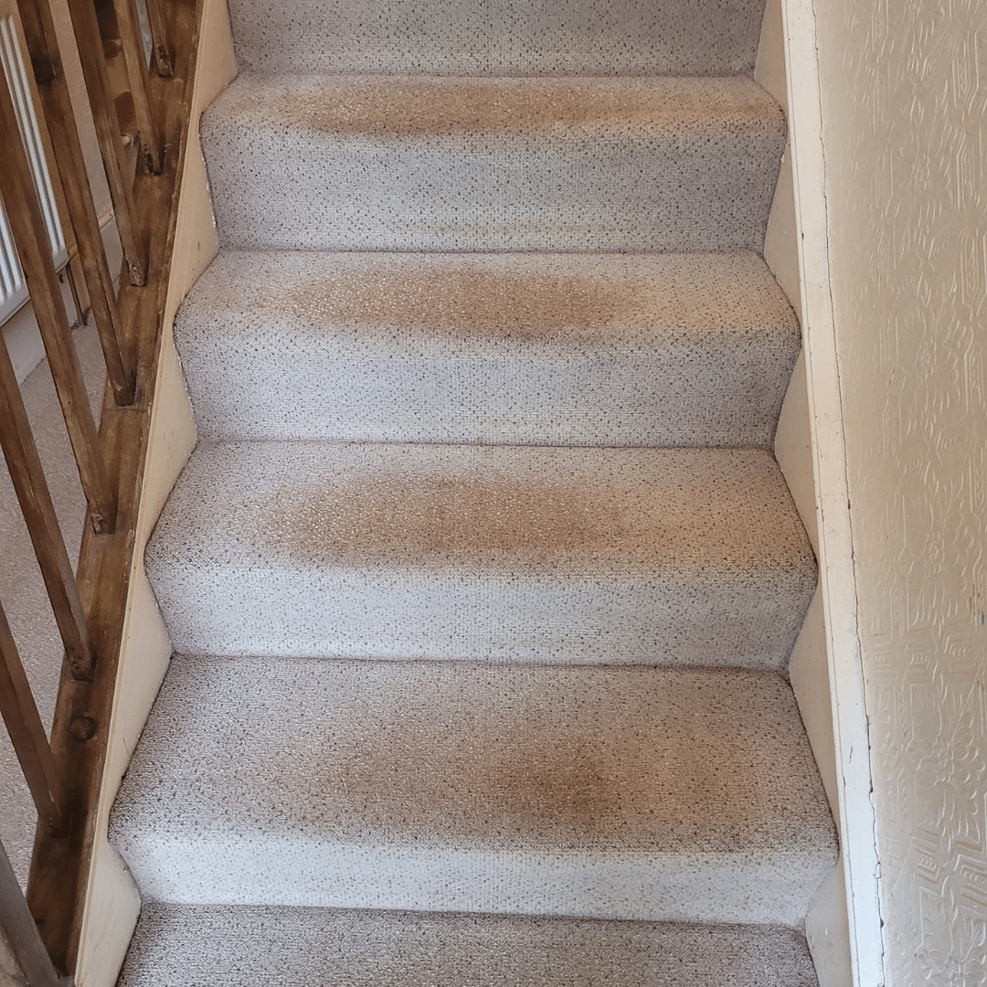 carpet cleaning Chesterfield