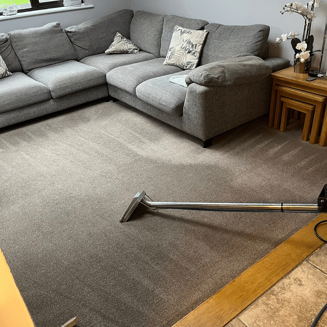 carpet cleaning companies norwich