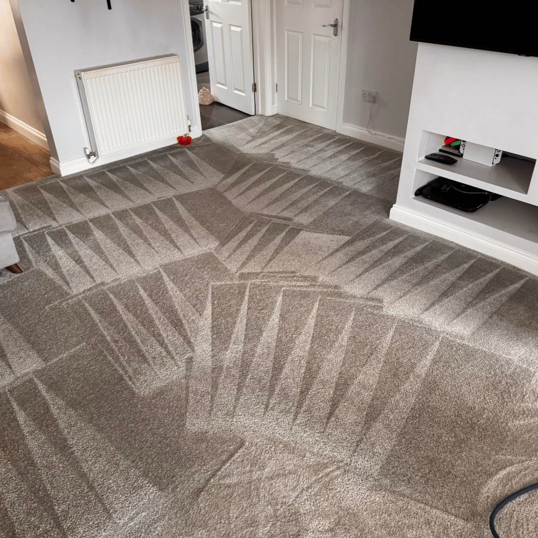 carpet cleaning service norwich