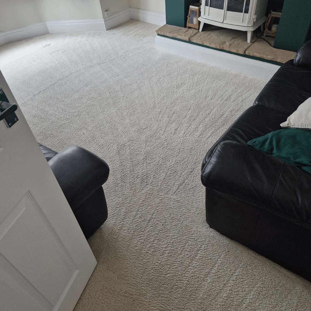 professional carpet cleaning ashford