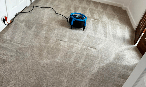 Carpet cleaner Blackburn