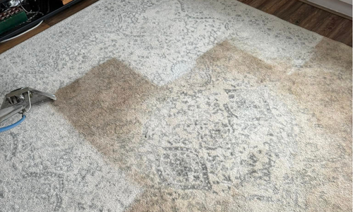 Carpet cleaner Stockport