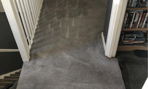 Carpet cleaning Kempston