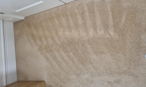 carpet cleaning company southend