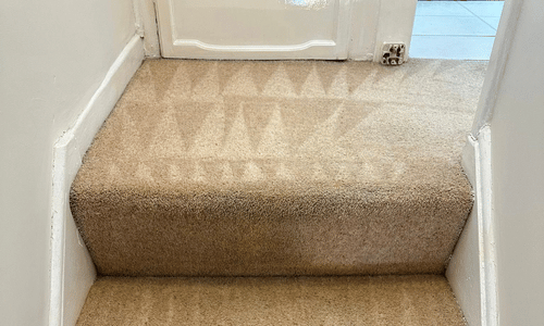 carpet cleaning prices doncaster