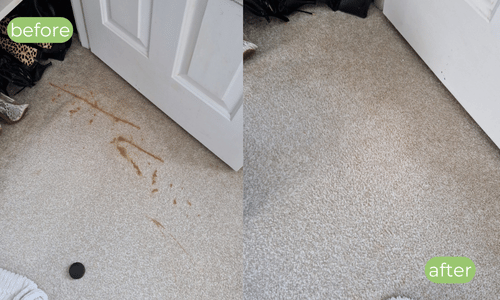 carpet cleaning prices hull