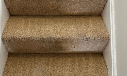carpet cleaning services bedford