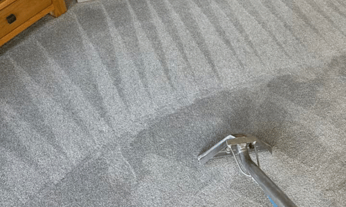 carpet cleaning services sheffield
