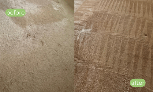 doncaster carpet cleaning companies