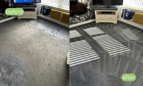 professional carpet cleaning sheffield