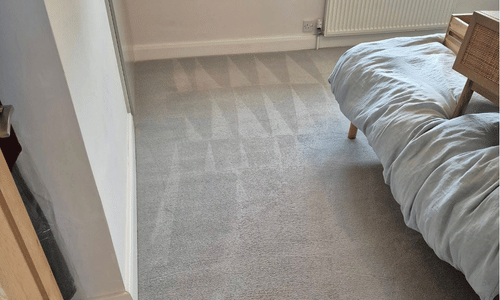 Carpet cleaner Brighton