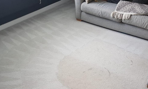 Carpet cleaner Dundee