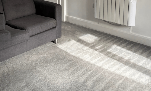 Carpet cleaner Hampstead