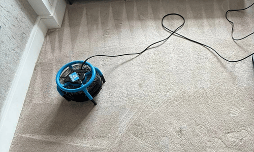 Carpet cleaner Wakefield