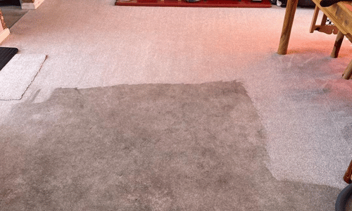Carpet cleaner Warrington