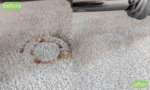 Carpet cleaning Arbroath