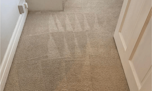 Carpet cleaning Ashington