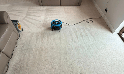 Carpet cleaning Batley