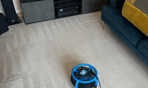Carpet cleaning Bridport
