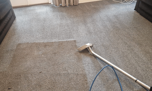 Carpet cleaning Brighton