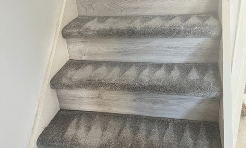 Carpet cleaning Camden