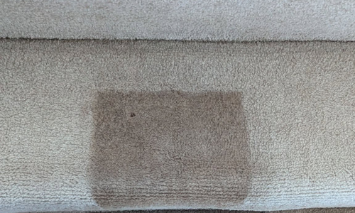 Carpet cleaning Chard