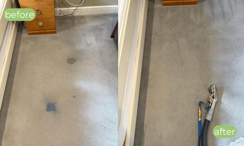 Carpet cleaning Haslemere