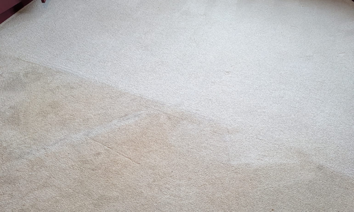 Carpet cleaning Minehead