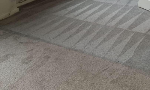 Carpet cleaning Montrose