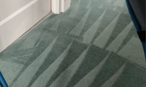 Carpet cleaning Teignmouth