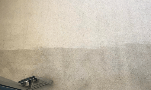 Carpet cleaning Torquay