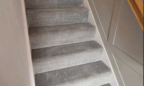 Carpet cleaning Totnes