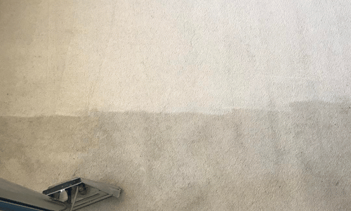 Carpet cleaning Wareham