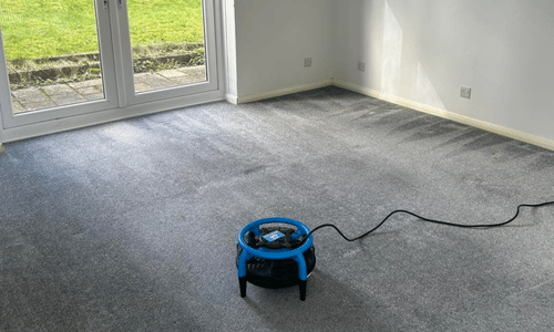 Carpet cleaning Watford 1