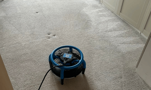 Carpet cleaning Wembley
