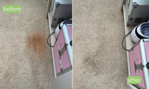 Carpet cleaning in Penrith