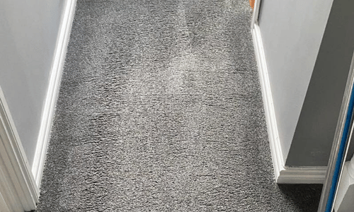 Rug cleaning Lisburn